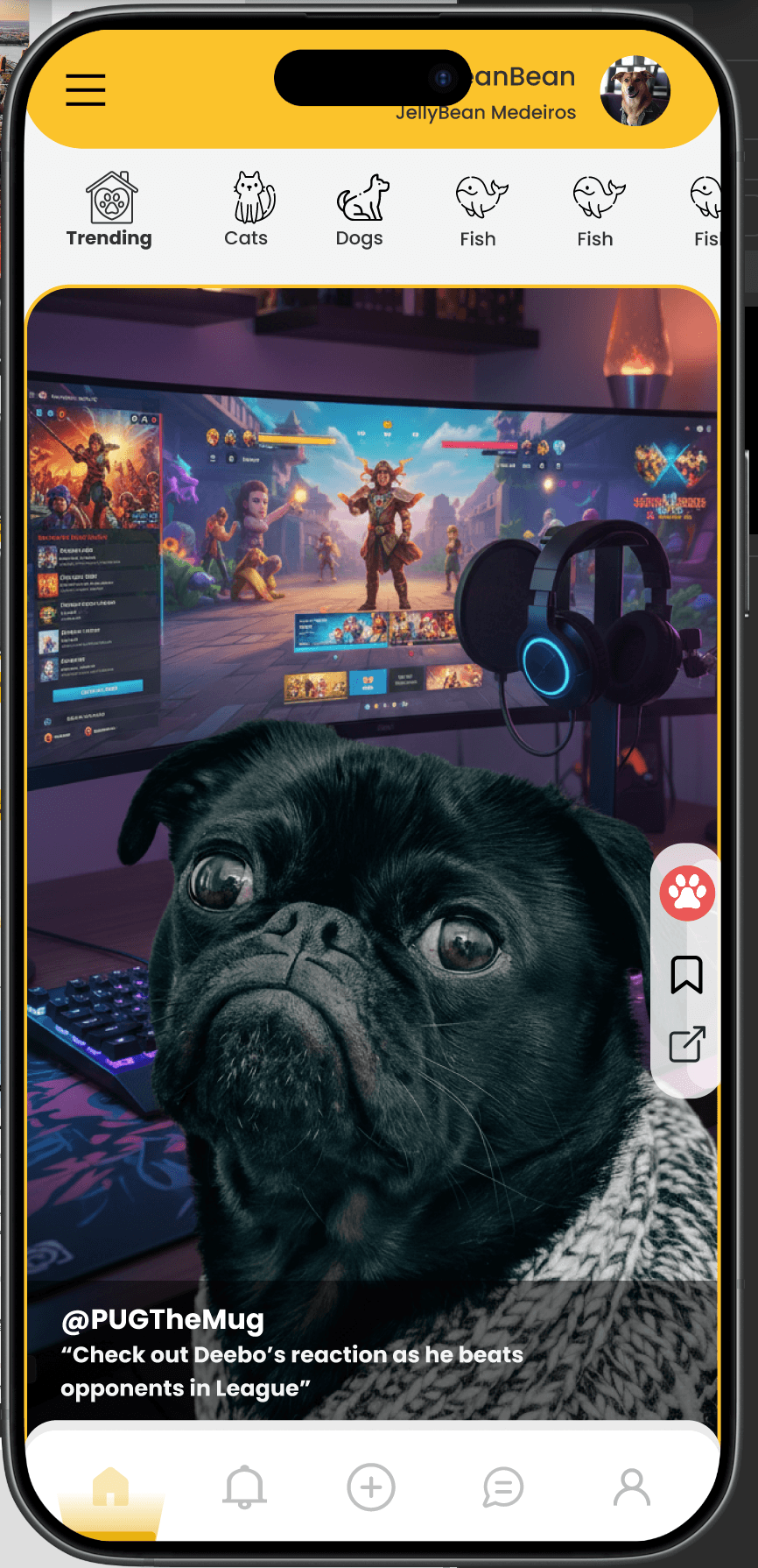 Prototype Petconnect Social