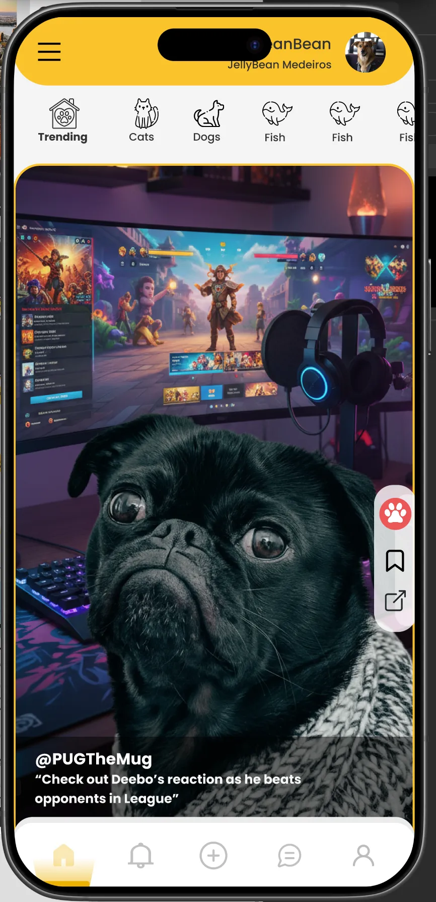 Prototype Petconnect Social